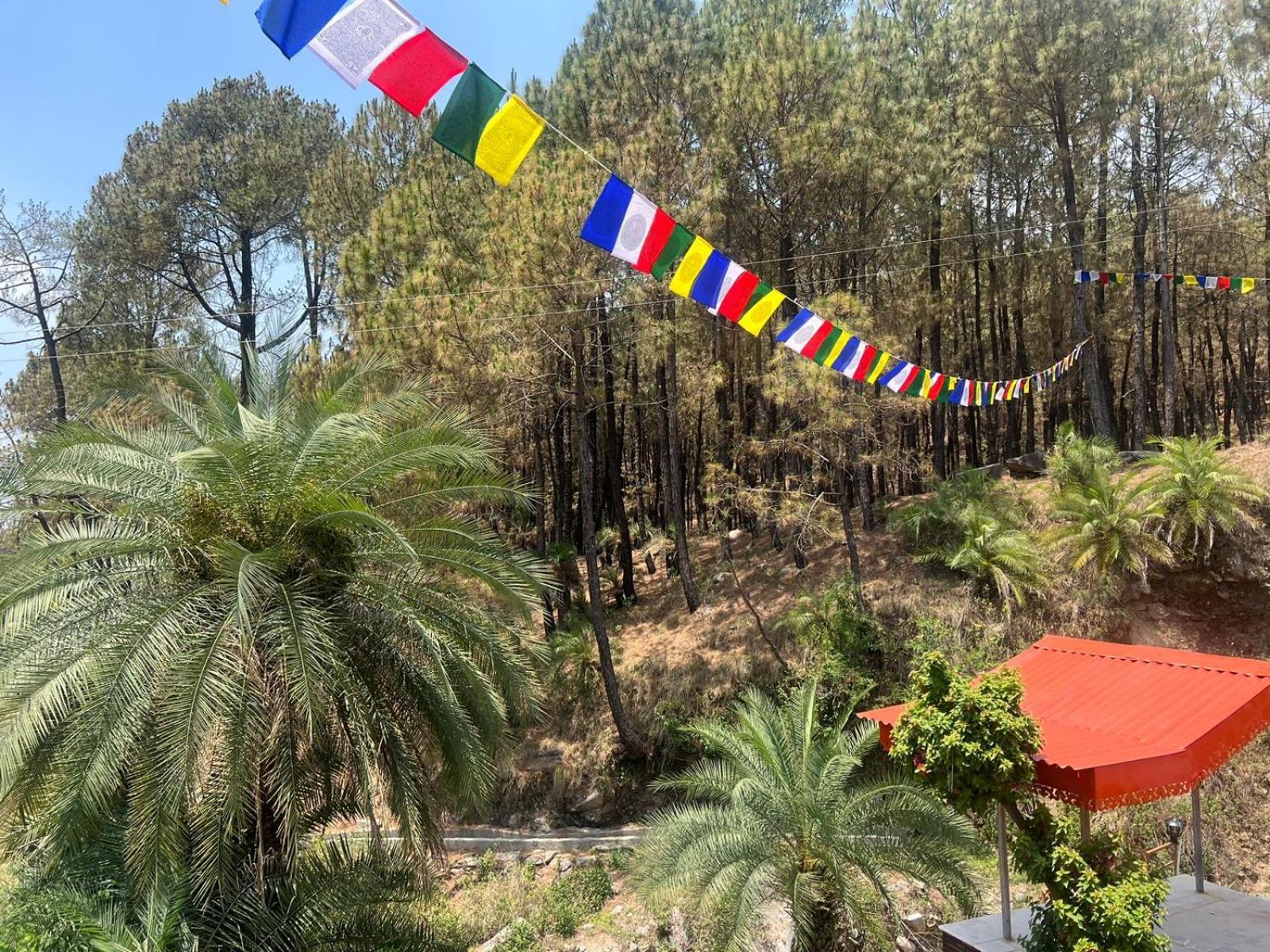 Tathastu Bir -Homestay ,Dorm,Hostel Exteriör bild