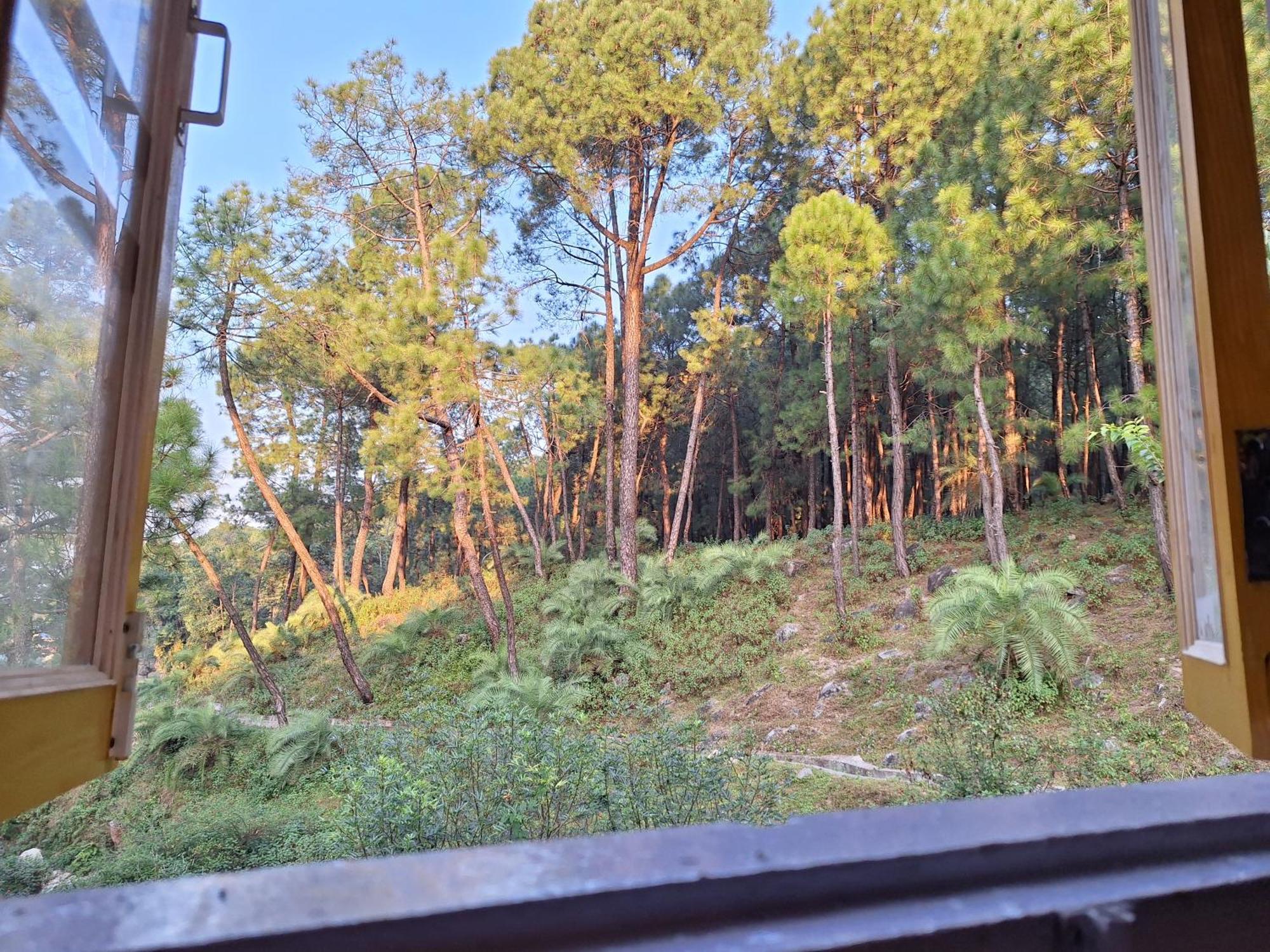 Tathastu Bir -Homestay ,Dorm,Hostel Exteriör bild
