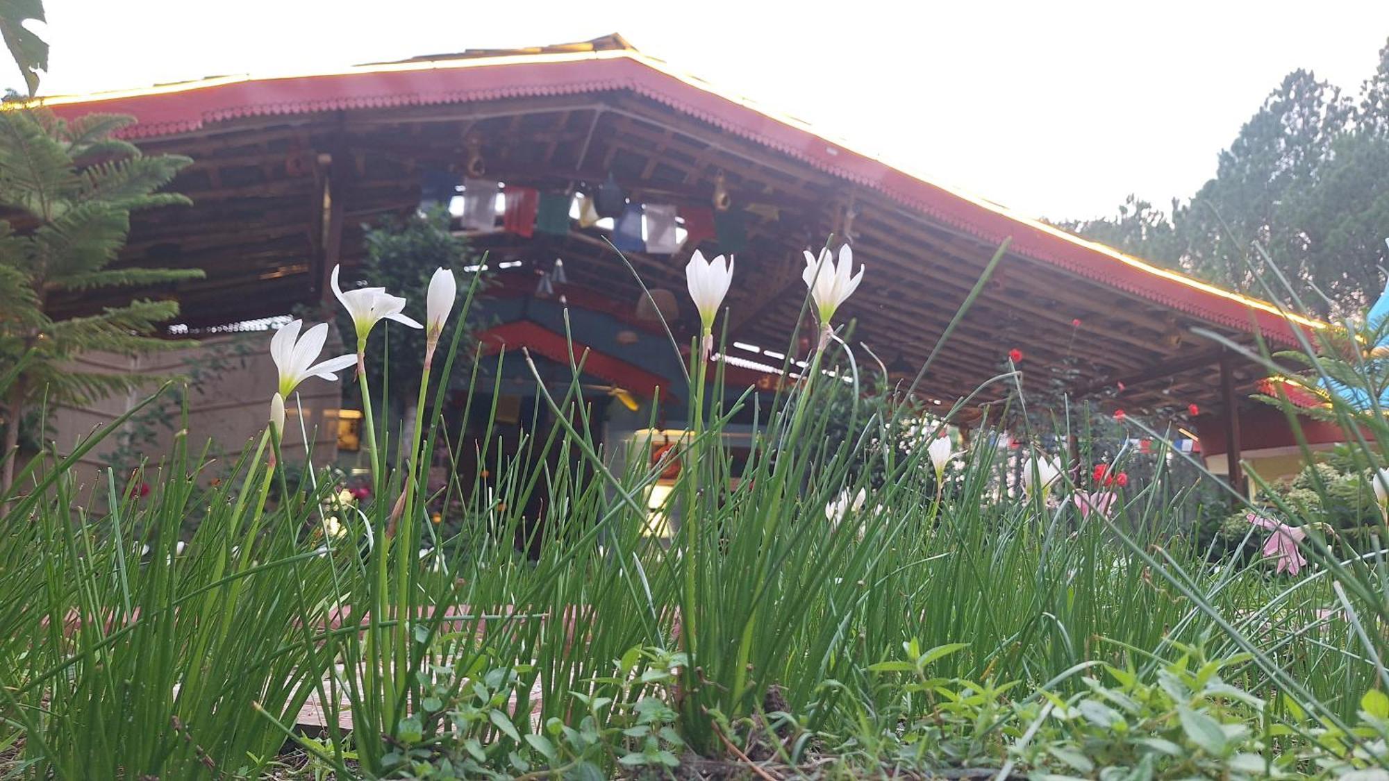 Tathastu Bir -Homestay ,Dorm,Hostel Exteriör bild