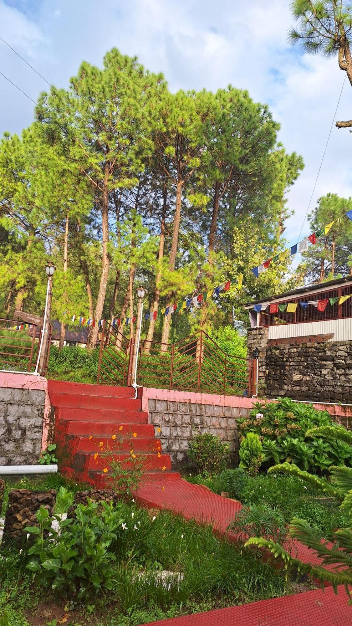 Tathastu Bir -Homestay ,Dorm,Hostel Exteriör bild