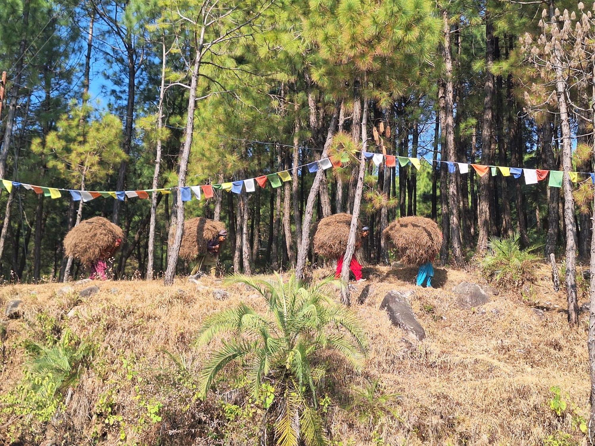 Tathastu Bir -Homestay ,Dorm,Hostel Exteriör bild